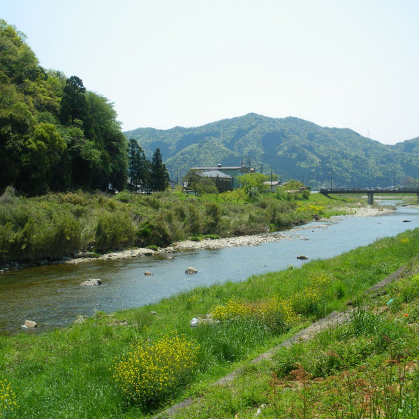 アダチ 再仕込み醤油 二度仕込み 濃厚な国産醤油 300ml