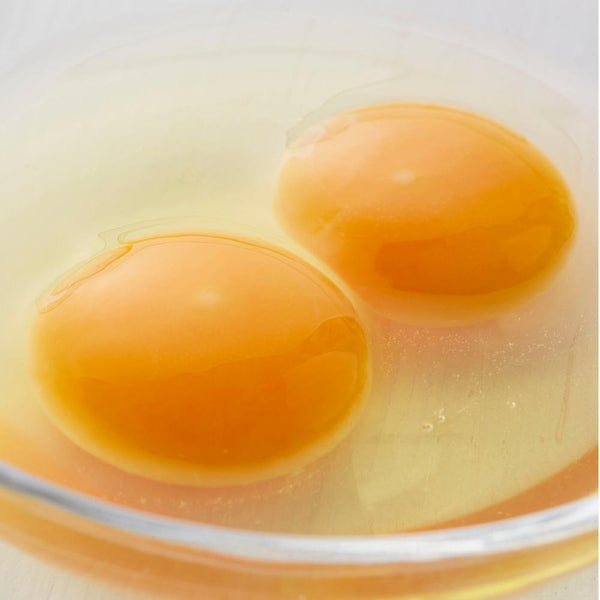 文明堂 特選五三 日本製手作りカステラ 10個入