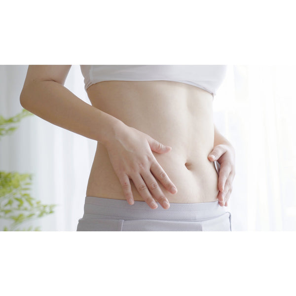 DHC 新スリムダイエットサポートサプリメント 80カプセル(20日分)