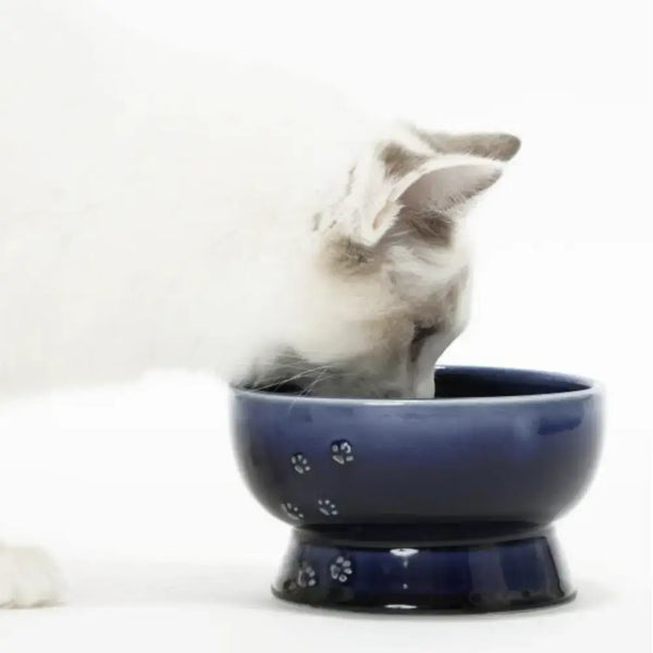 Handcrafted-Blue-Porcelain-Elevated-Cat-Water-Bowl-Paw-Prints-2-2026-04-28T06:36:59.063Z.webp