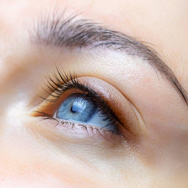 伊勢半 キスミーヒロインメイク スムースリキッドアイライナー ビターブラウン