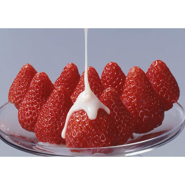 日本メグミルク 北海道産練乳 チューブ 480g