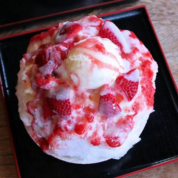 日本メグミルク 北海道産練乳 チューブ 480g