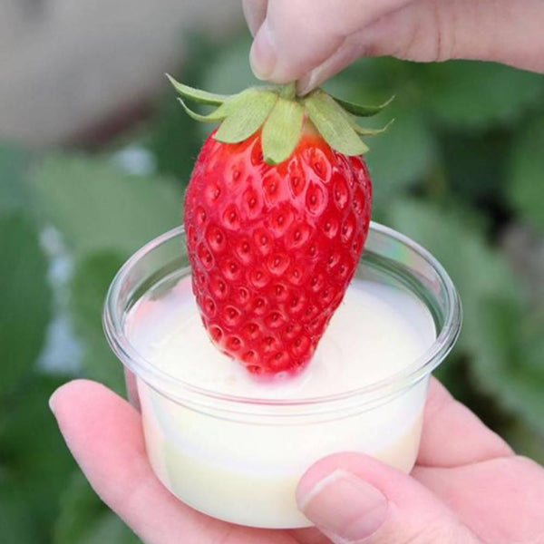 日本メグミルク 北海道産練乳 チューブ 480g