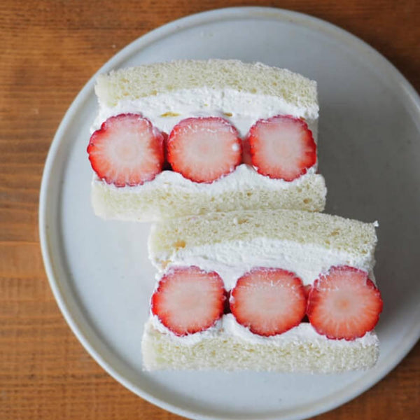 日本メグミルク 北海道産練乳 チューブ 480g