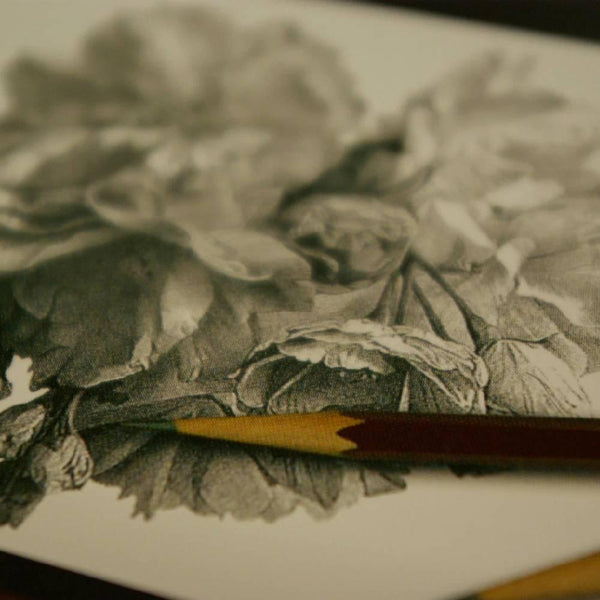 三菱 ユニスター 鉛筆 4B 12本