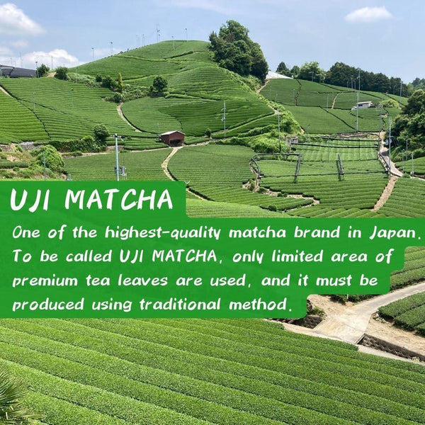森半 オーガニック認証 宇治抹茶 緑茶パウダー 30g