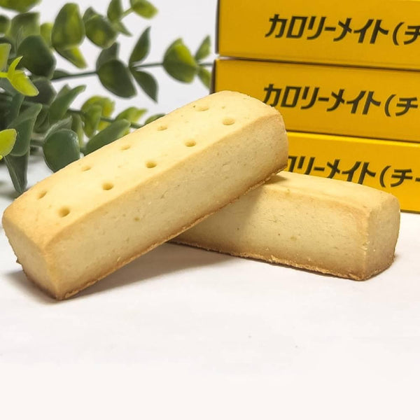 大塚 カロリーメイト ブロック バランス栄養食 チーズ 4本入り