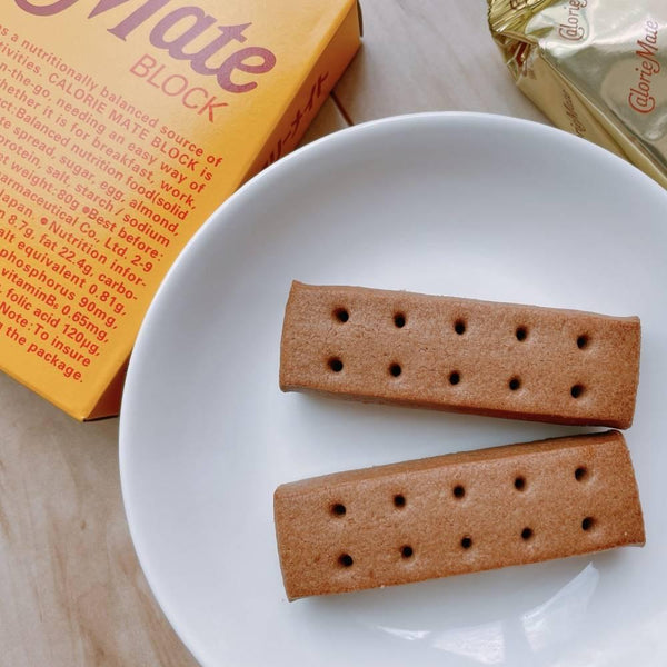 大塚 カロリーメイト ブロック バランス栄養食 チョコレート 4本