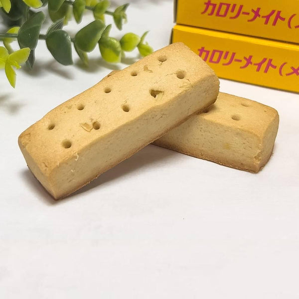 大塚 カロリーメイト ブロック バランス栄養食 メープル 4本入り