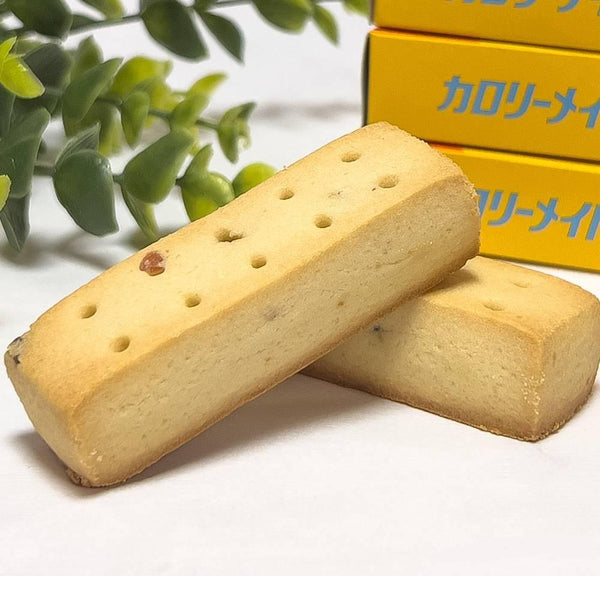 大塚 カロリーメイト ブロック バランス栄養食 バニラ 4本