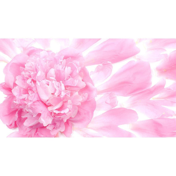 ミルボン ジェミールフラン シャンプー 細毛用 500ml