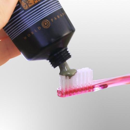 ワールドパラダイス チャコール歯磨き粉 口臭ケア 110ml