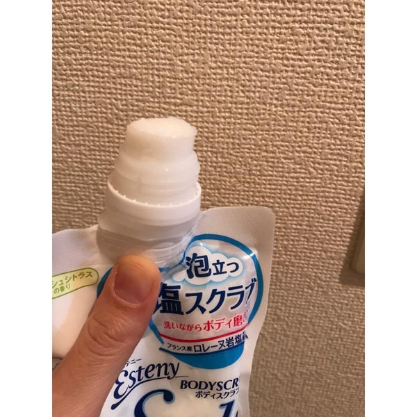 サナ エステニー ソルトスクラブ 日本製天然ソルトボディスクラブ 350g