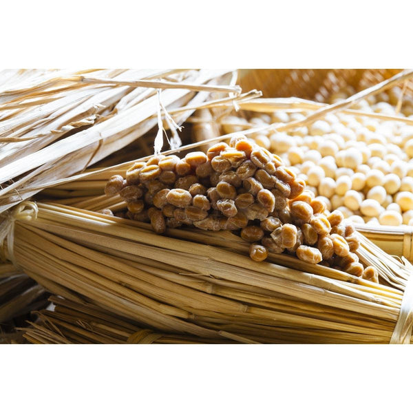 川口納豆 フリーズドライ 粉末納豆 75g