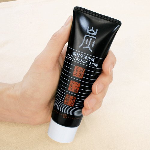 ワールドパラダイス チャコール歯磨き粉 口臭ケア 110ml