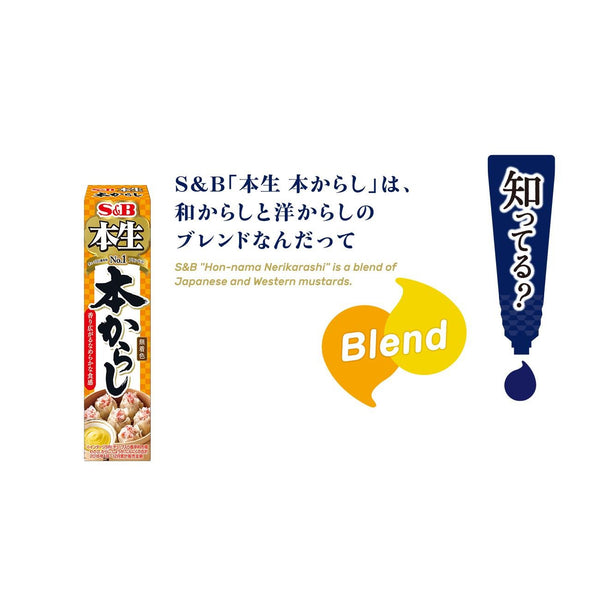 S&B 辛子ソース からしペースト チューブ 43g