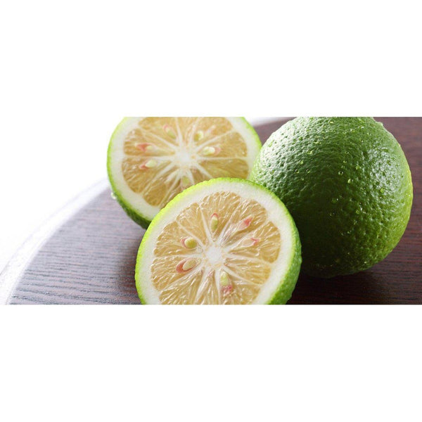 フンドーキン 青柚子胡椒ソース 50g