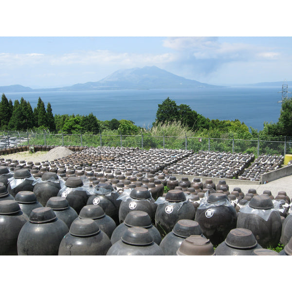 丸茂 天然発酵鰹米酢 500ml