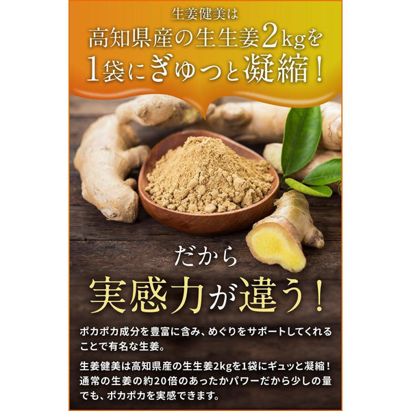 しょうが健美 国産生姜パウダー 100g