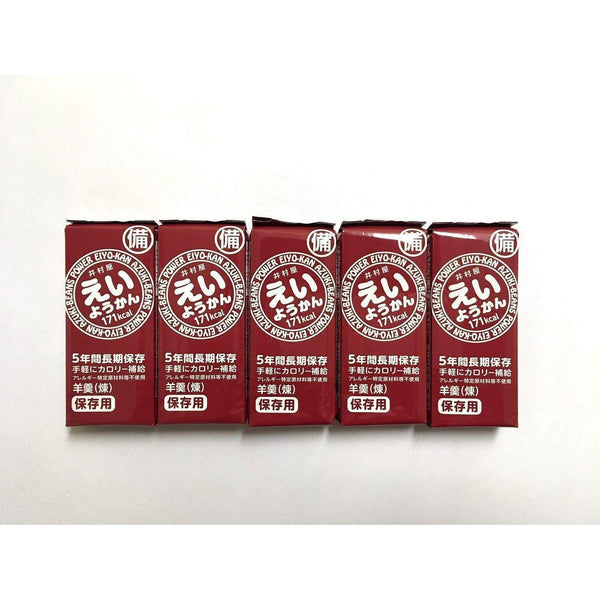 井村屋永羊羹 あんブロック 5本入