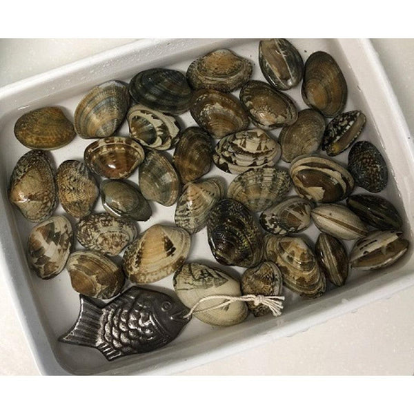 鳥部鉄の健康隊 調理用鋳物魚