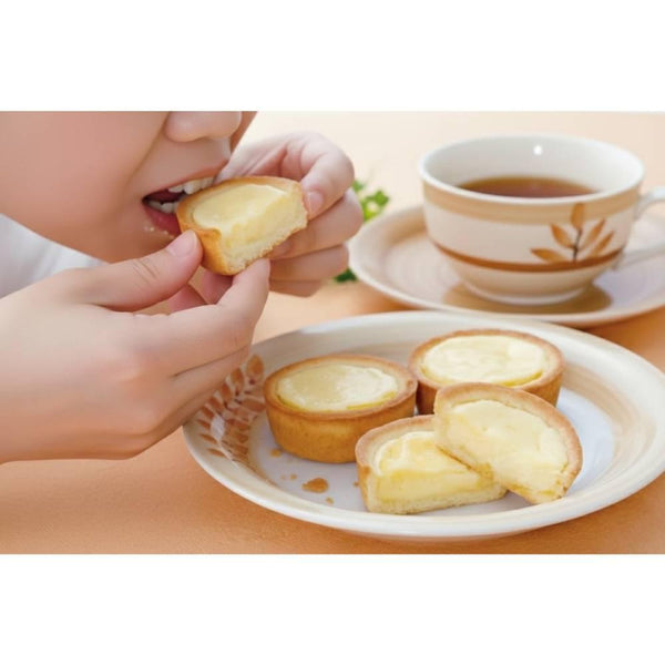 函館しのりチーズタルト 北海道産クリームチーズのソフトタルトケーキ 3個入り