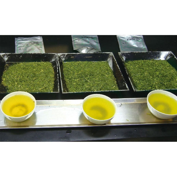 翠草園 有機緑茶 カテキン 粉末 40g