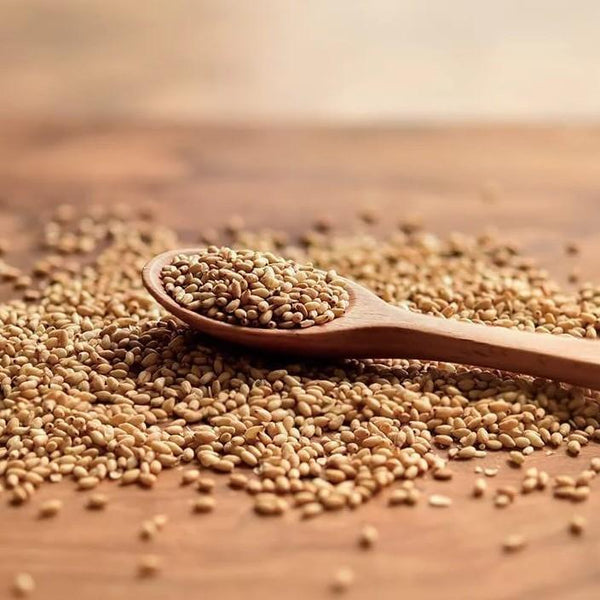 ワダマン オーガニック認証焙煎白ごま 50g