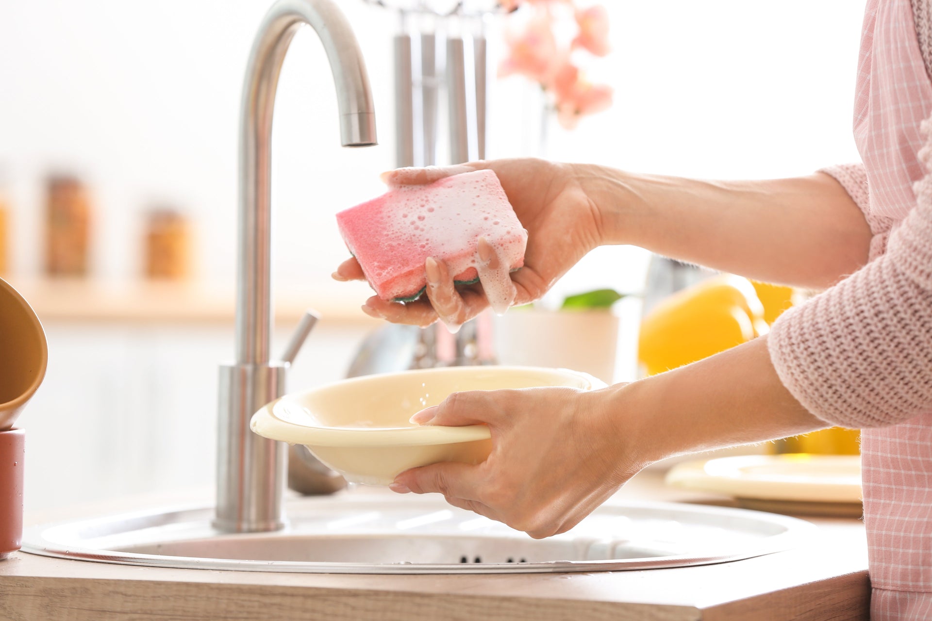 Dish Sponges