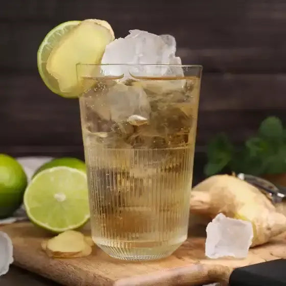 アサヒ ウィルキンソン ドライジンジャーエール 500ml（6本入り）