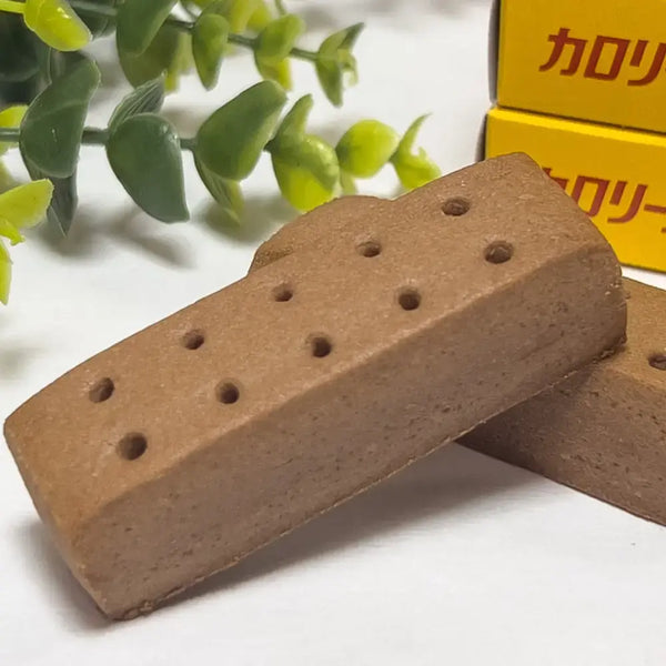 大塚 カロリーメイト ブロック バランス栄養食 チョコレート（5個入り）