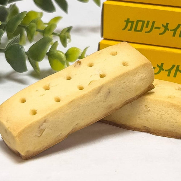 大塚 カロリーメイト ブロック バランス栄養食品 フルーツ（5個入り）