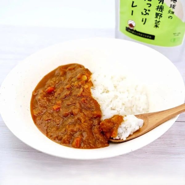 地球畑 オーガニック野菜カレー グルテンフリー ヴィーガン対応 レトルトカレー 180g