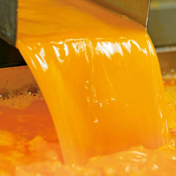 デコポン スイートシトラスジュース 100%ナチュラル搾りたて 180ml