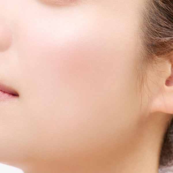 エトヴォス ミネラルプレスドチーク ツートーンブラッシュパレット 4.5g