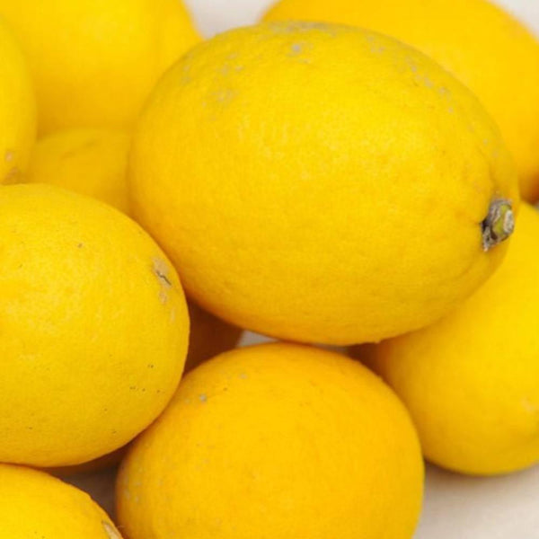 瀬戸内レモン精油 ピュアナチュラルエッセンシャルオイル アロマオイル 3ml