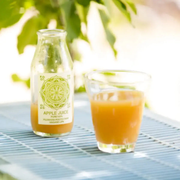 ふじわらルーツファーム ピュアナチュラル 長野りんごジュース 180ml