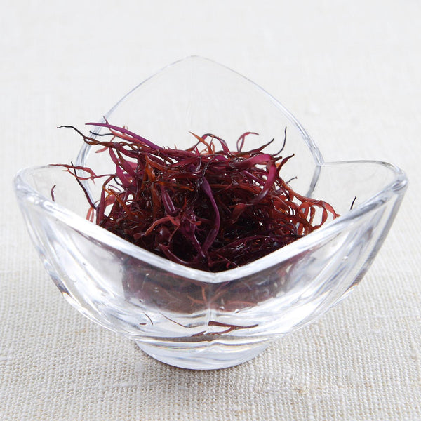 ふのり 乾燥海藻 ミネラル繊維豊富 紅海藻 45g