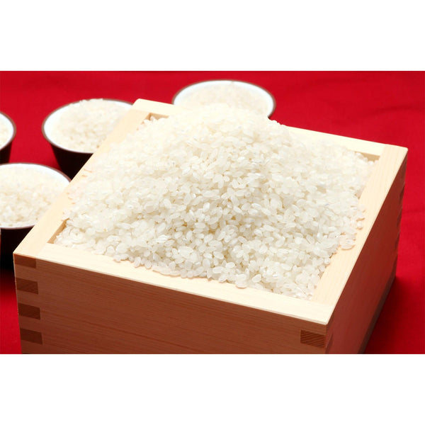 義士もち粉 もち米粉 250g