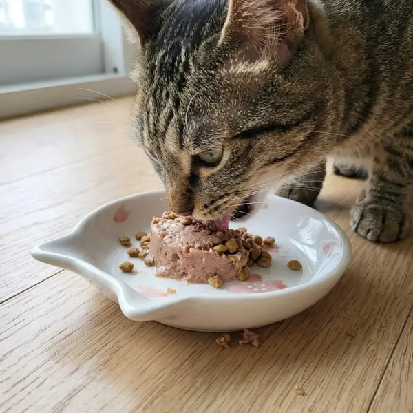 Handcrafted-Ceramic-Cat-Shaped-Cat-Food-Bowl-Sakura-Pink-2-2026-04-28T05:03:35.444Z.webp