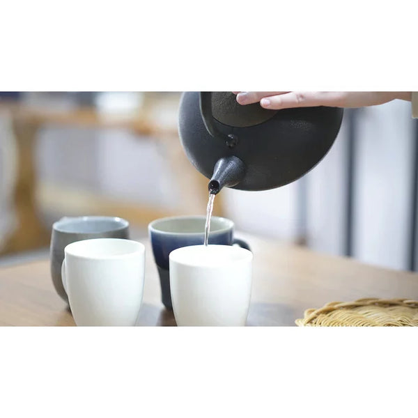 岩鋳 手造り鉄瓶 電磁調理器対応 鋳鉄ケトル 1.3L