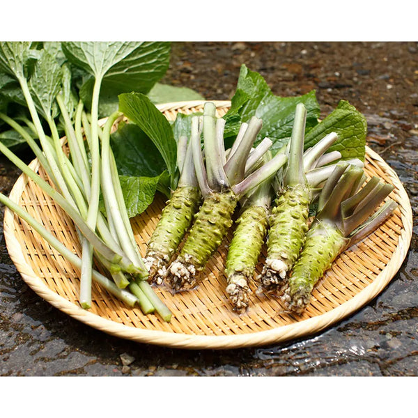 カメヤ食品　わさびのりふりかけ 万能ご飯のお供 38g