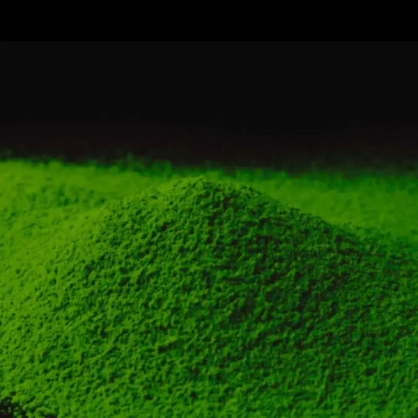茅渟の昔 宇治抹茶パウダー プレミアム濃茶 30g