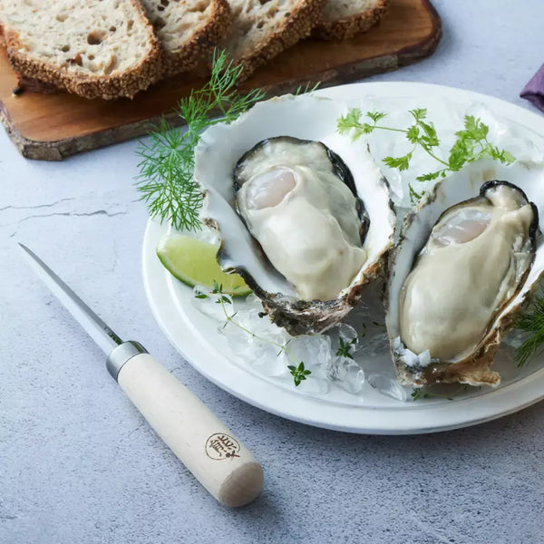 熊谷手造りウッドハンドル牡蠣殻剥きナイフ10cm