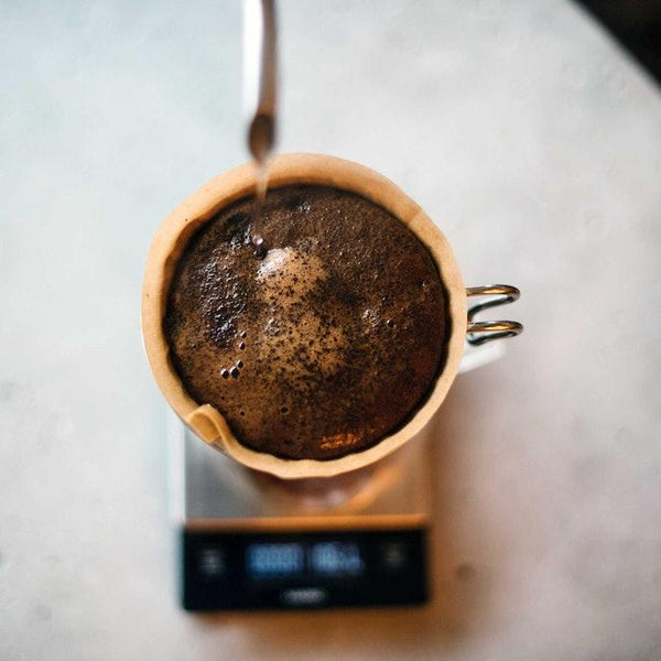 ミツモト 有機挽き豆 中煎り オリジナルブレンド 170g