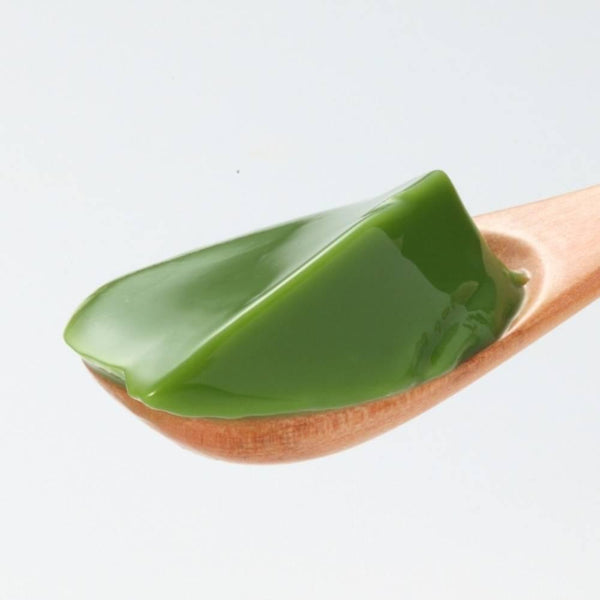 森半 抹茶プリンミックス 業務用 500g