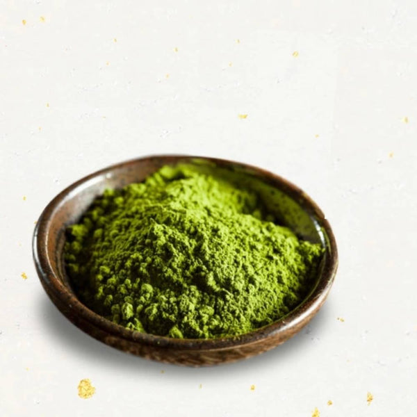森半 抹茶プリンミックス 業務用 500g
