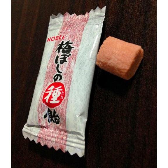 ノーベル 梅干しの種飴 30g