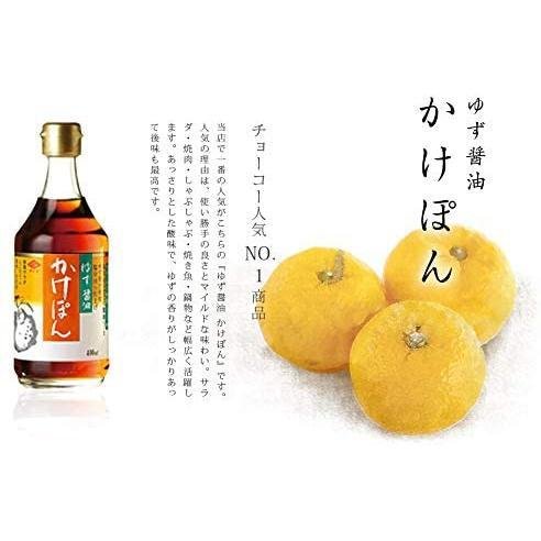 ちょこかけぽん ゆずぽん酢 非遺伝子組み換え大豆シーズニングソース 400ml